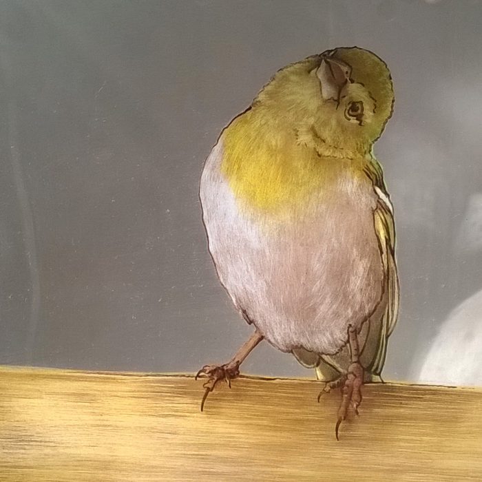 petit oiseau peint sur verre très précisément d'après photographie